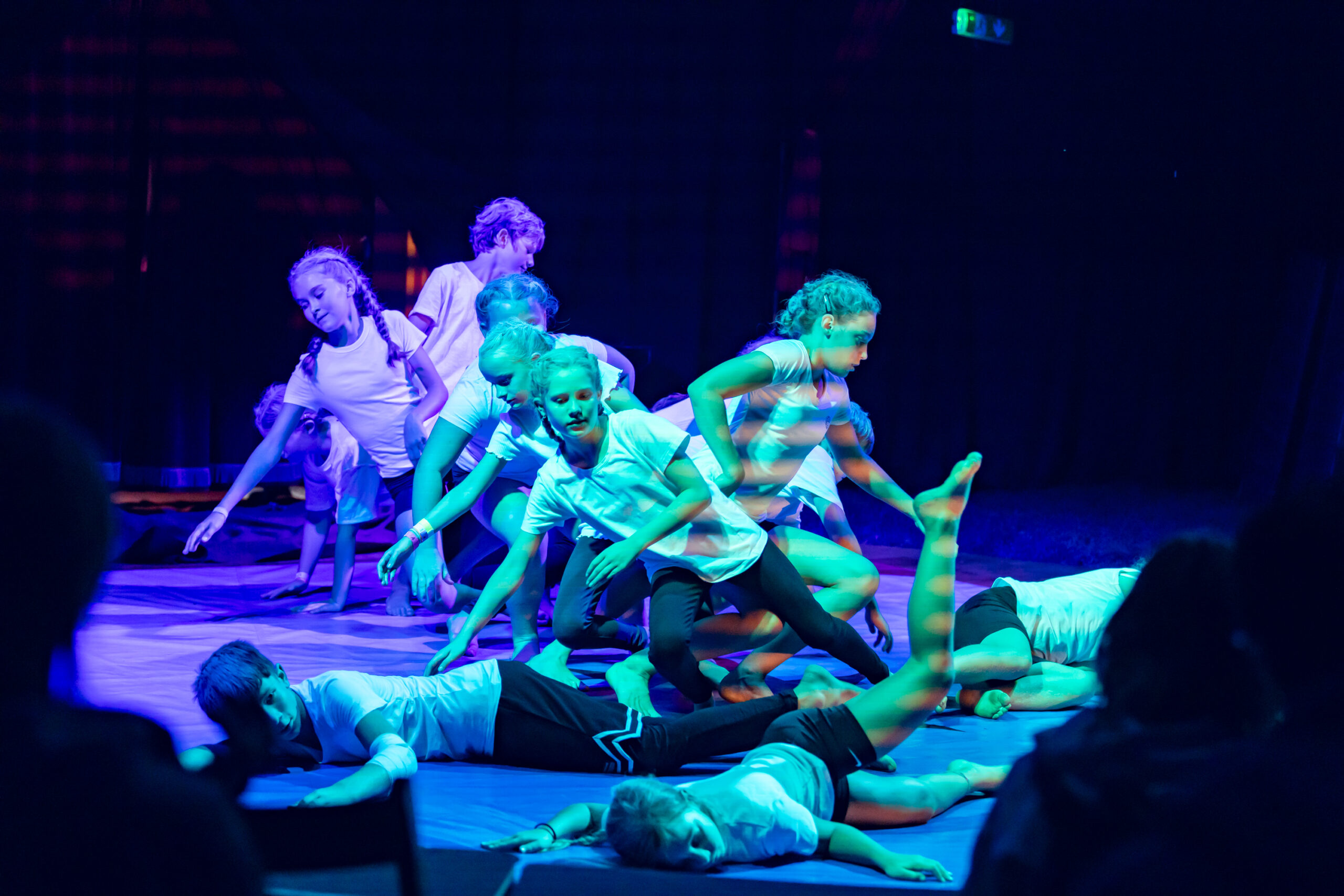 Festival für neuen Circus 2025